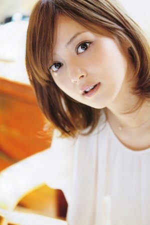 树下有片红房子电视剧免费观看全集